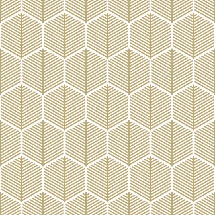 Papel de Parede Adesivo Geométrico N02007