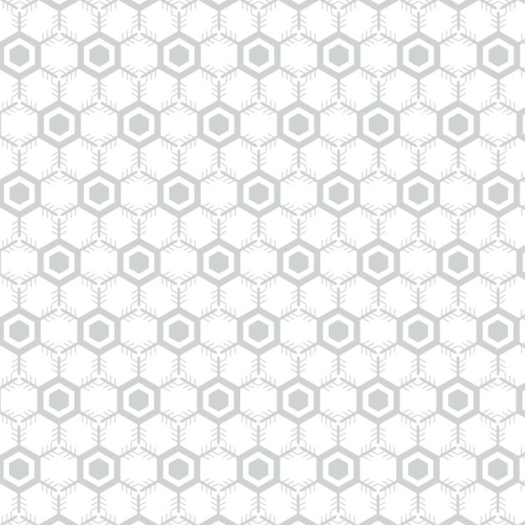 Papel de Parede Adesivo Geométrico N02239