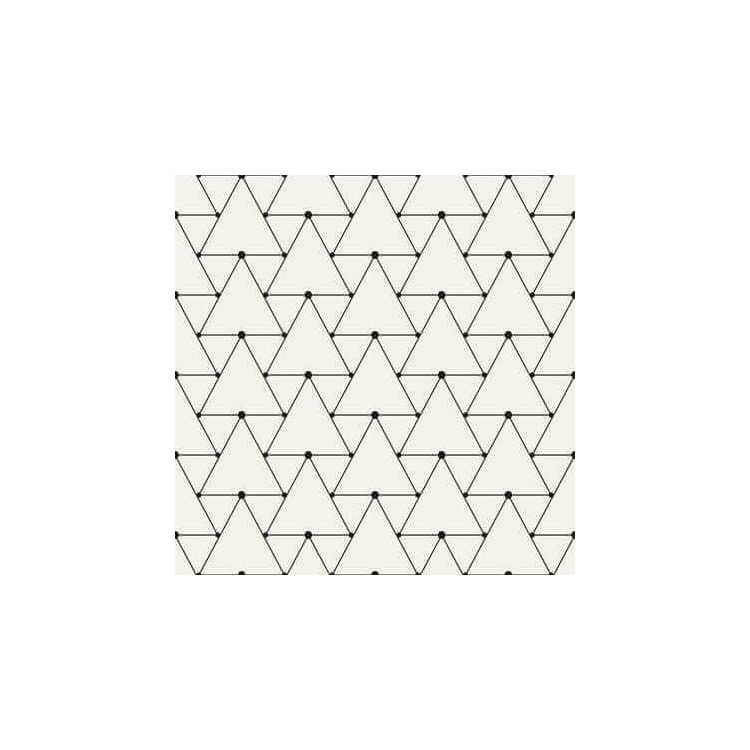 Papel de Parede Adesivo Geométrico N107