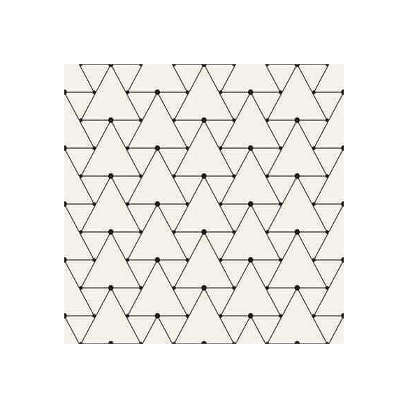 Papel de Parede Adesivo Geométrico N107