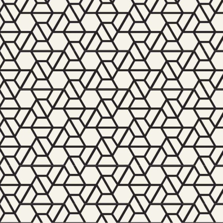 Papel de Parede Adesivo Geométrico N147230A