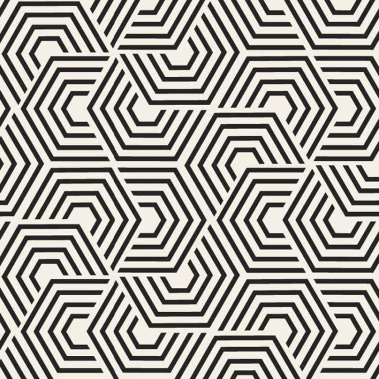 Papel de Parede Adesivo Geométrico N147230C