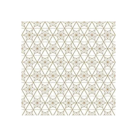 Papel de Parede Adesivo Geométrico N1901107