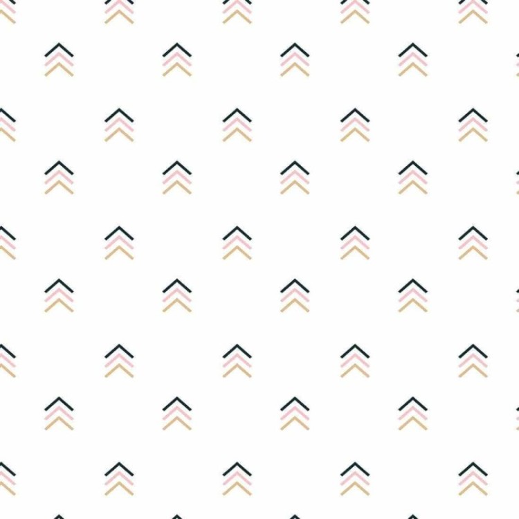 Papel de Parede Adesivo Geométrico N190124J