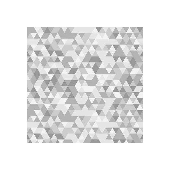 Papel de Parede Adesivo Geométrico N1901400