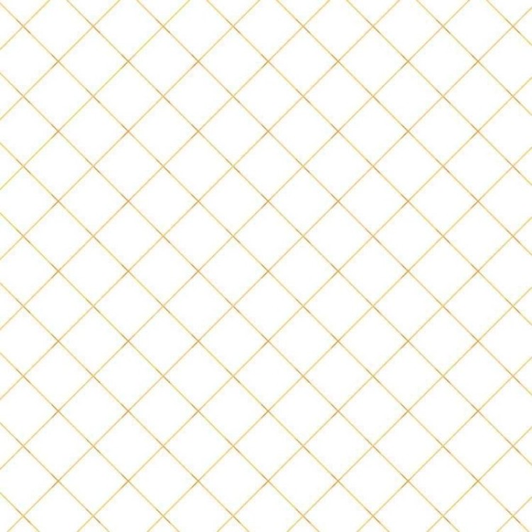Papel de Parede Adesivo Geométrico N2894758C