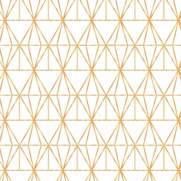 Papel de Parede Adesivo Geométrico N2894758G