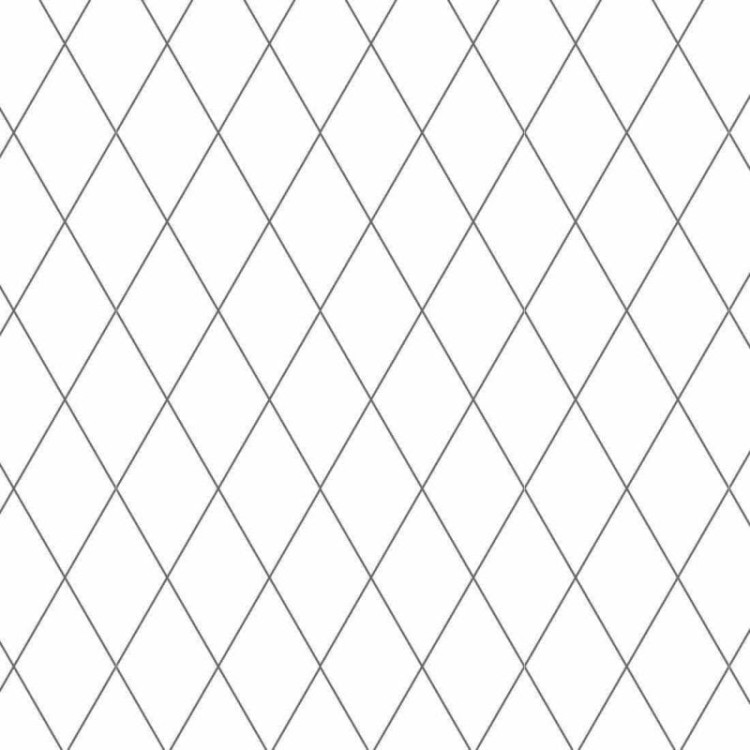 Papel de Parede Adesivo Geométrico N31456B
