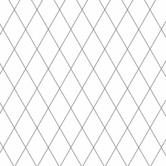 Papel de Parede Adesivo Geométrico N31456B