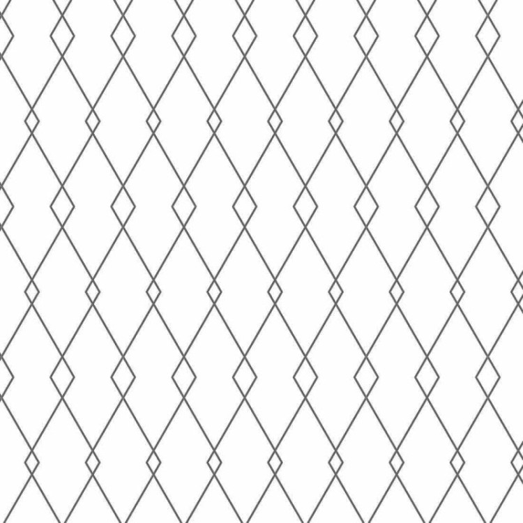 Papel de Parede Adesivo Geométrico N31456D