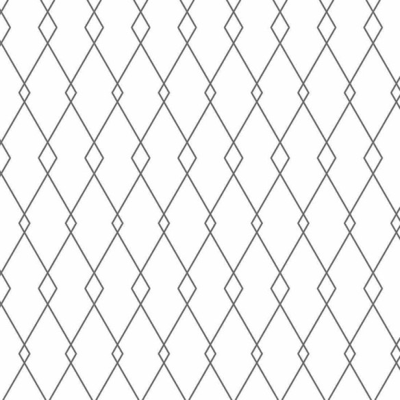 Papel de Parede Adesivo Geométrico N31456D