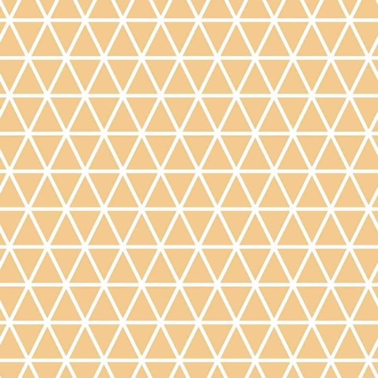 Papel de Parede Adesivo Geométrico N474B