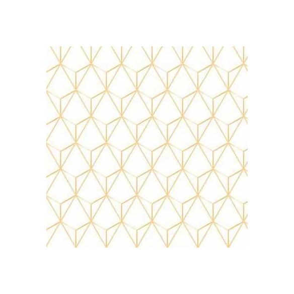 Papel de Parede Adesivo Geométrico N83