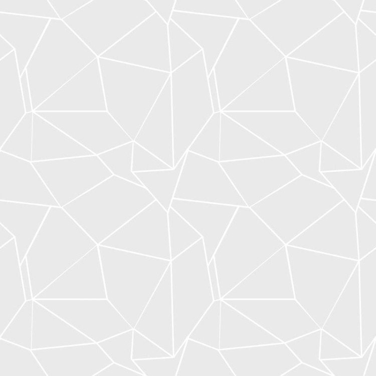 Papel de Parede Adesivo Geométrico Zara N010080