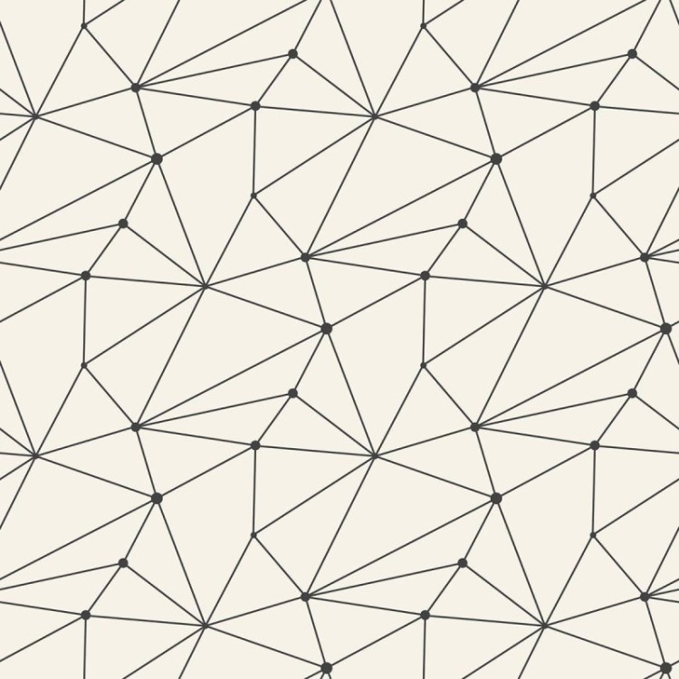 Papel de Parede Adesivo Geométrico Zara N010084