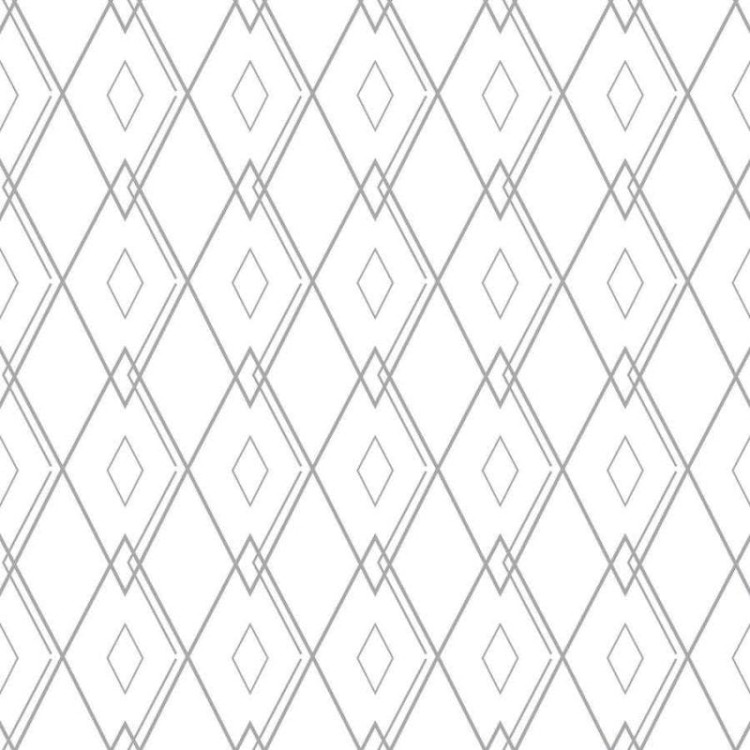 Papel de Parede Adesivo Grafismo Moderno N06075