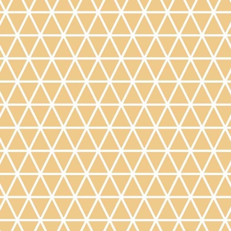 Papel de Parede Adesivo Grafismo Triângulos N06288