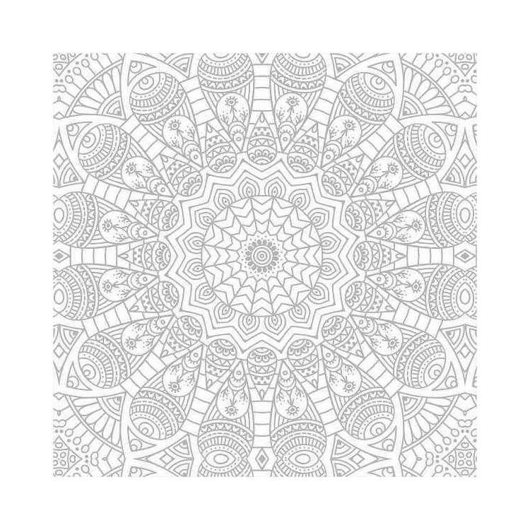 Papel de Parede Adesivo Indiano N02149