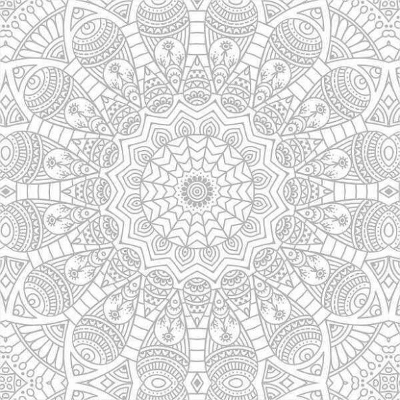 Papel de Parede Adesivo Indiano N02149