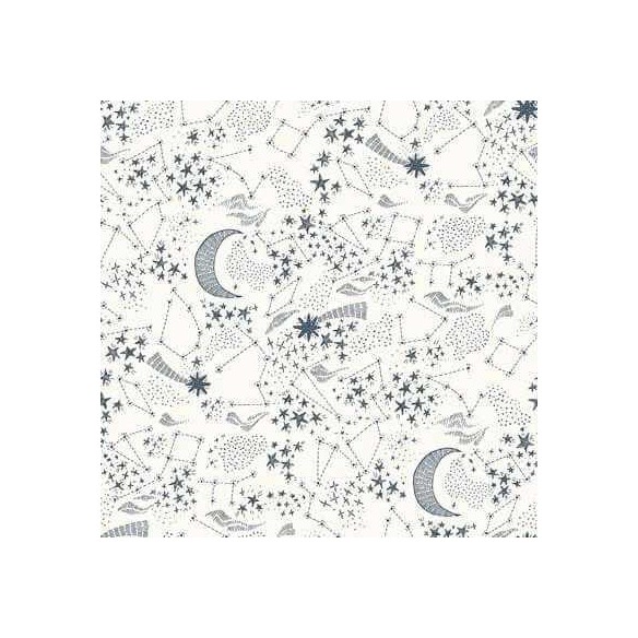 Papel de Parede Adesivo Infantil N20708