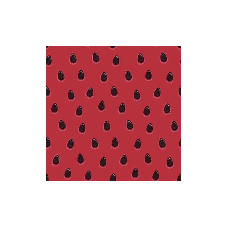 Papel de Parede Adesivo Jovem N344