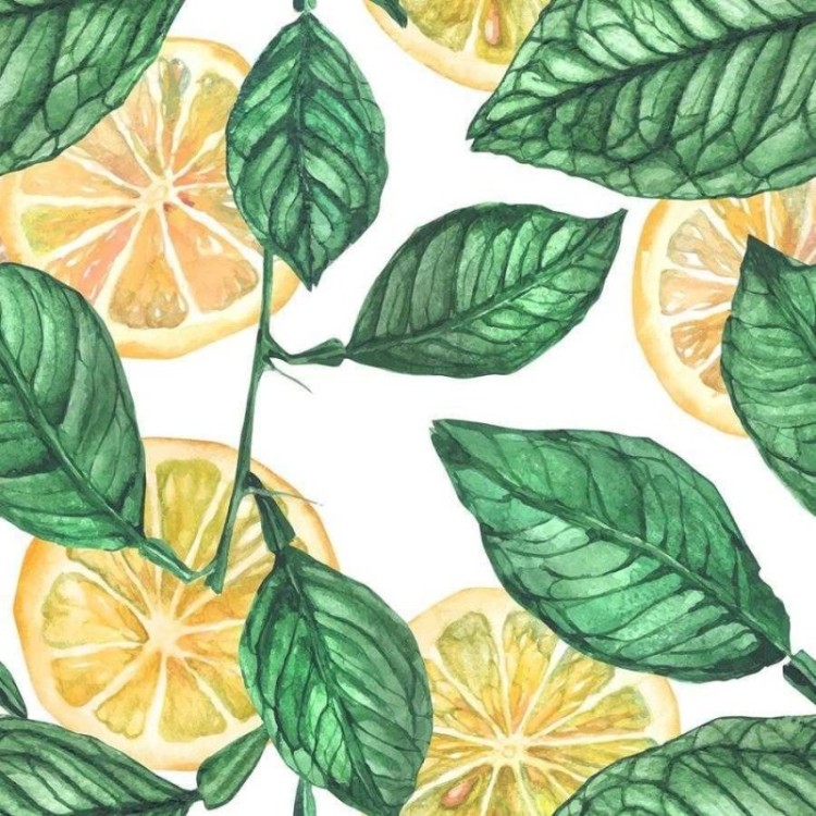 Papel de Parede Adesivo Limão em Fundo Branco...