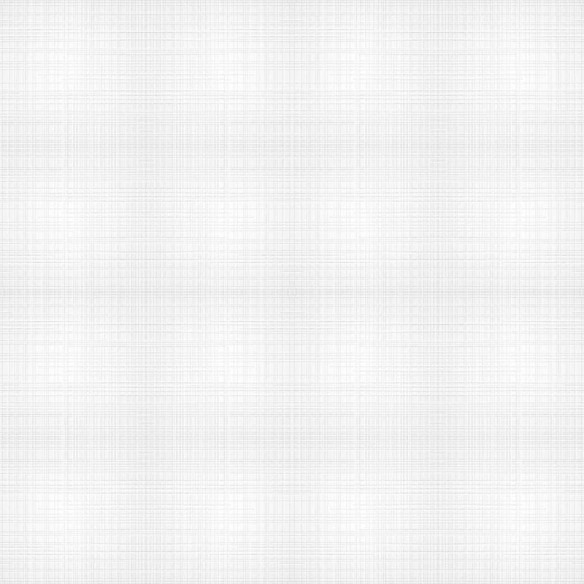 Papel de Parede Adesivo Linho Branco N08100