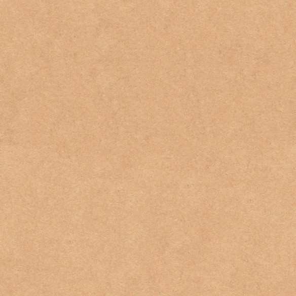 Papel de Parede Adesivo Liso Textura Marrom N010139