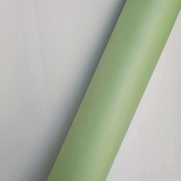 Papel de Parede Adesivo Liso Verde Menta