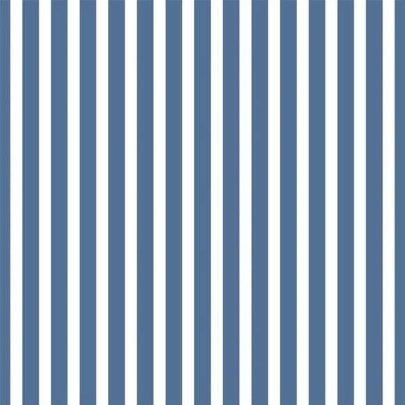 Papel de Parede Adesivo Listras Azul e Branco N06277