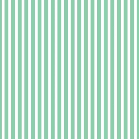 Papel de Parede Adesivo Listras Verde e Branco N06276