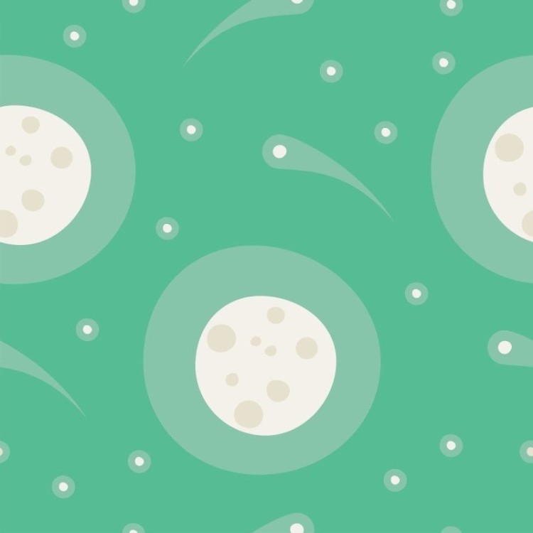 Papel de Parede Adesivo Lua  N014152