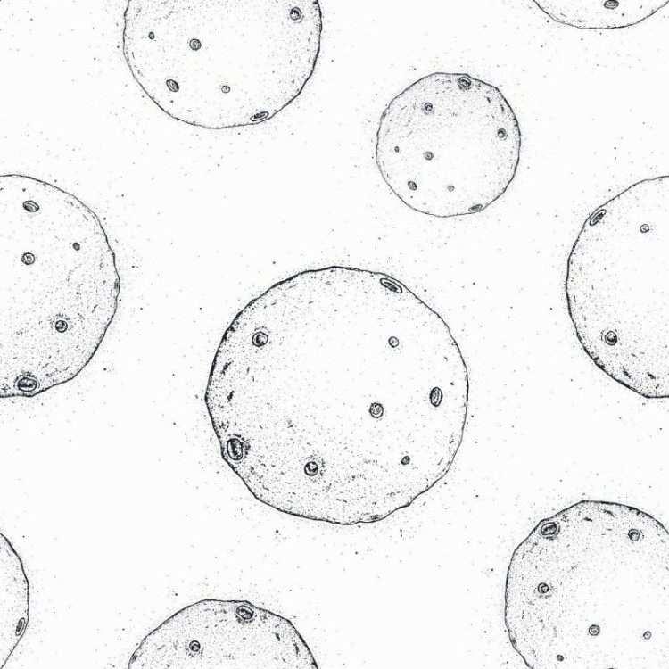 Papel de Parede Adesivo lua N014106