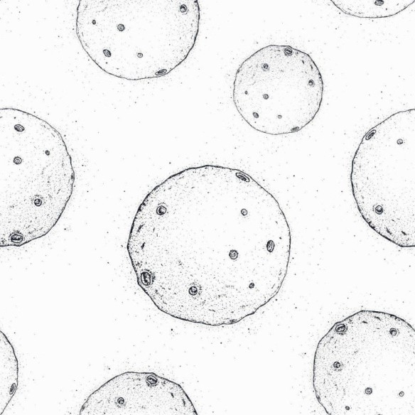 Papel de Parede Adesivo lua N014106
