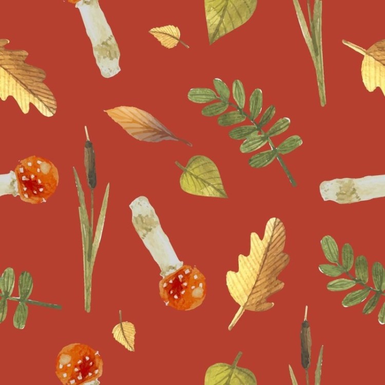 Papel de Parede Adesivo Natureza Cogumelos e...