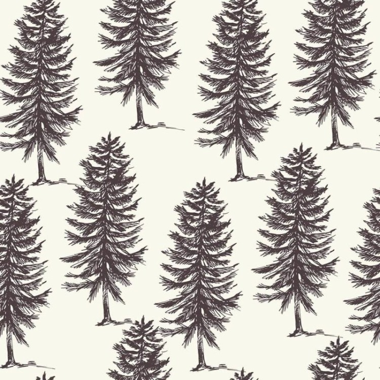 Papel de Parede Adesivo Natureza N02173