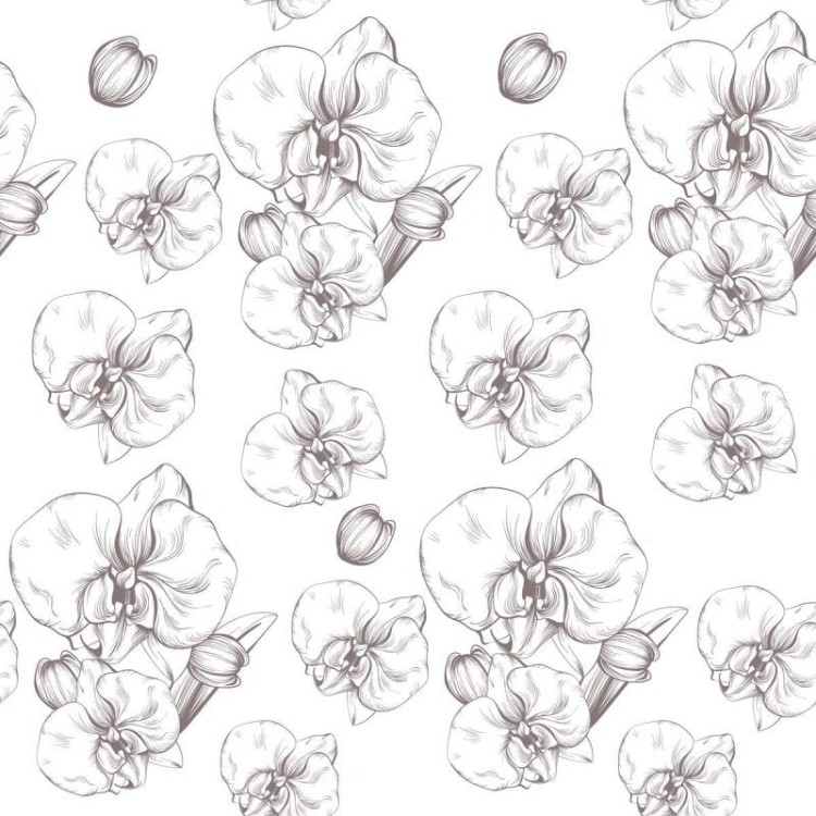 Papel de Parede Adesivo Orquídea Branco N04068