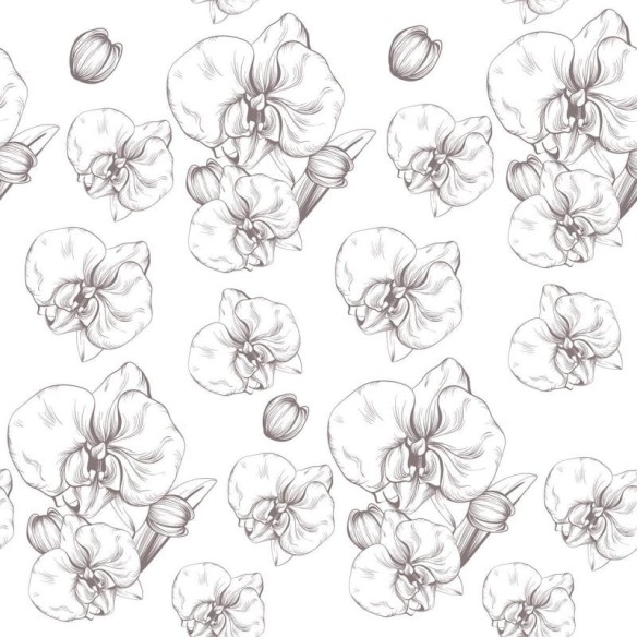 Papel de Parede Adesivo Orquídea Branco N04068