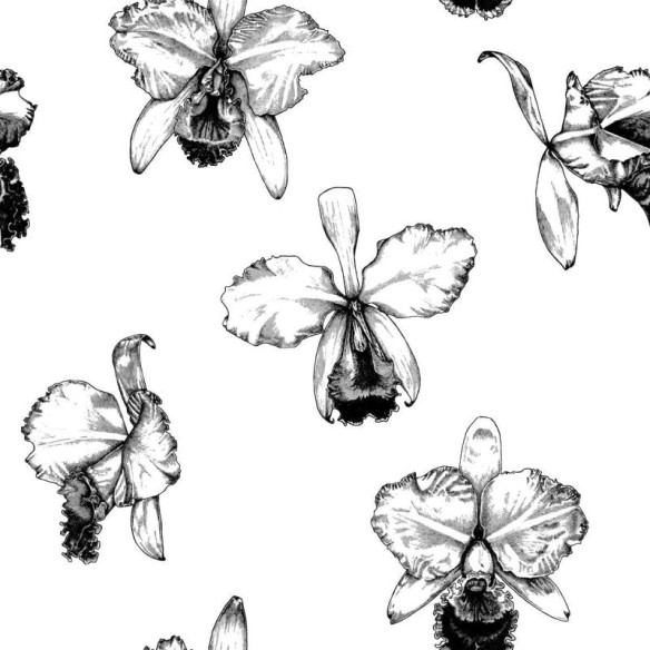 Papel de Parede Adesivo Orquídea Preto e Branco N04107