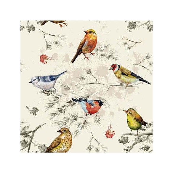 Papel de Parede Adesivo Pássaros Coloridos 256635979