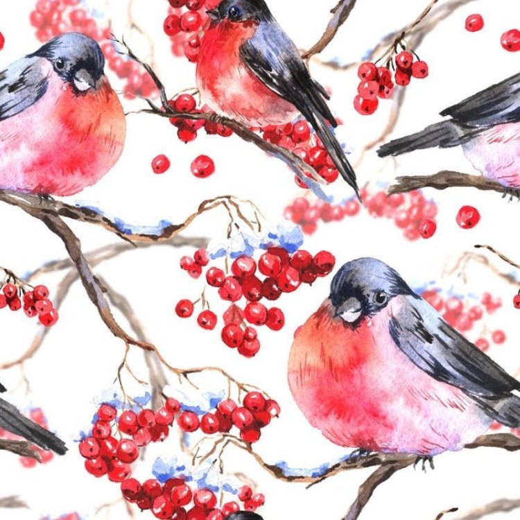 Papel de Parede Adesivo Pássaros em Aquarela...