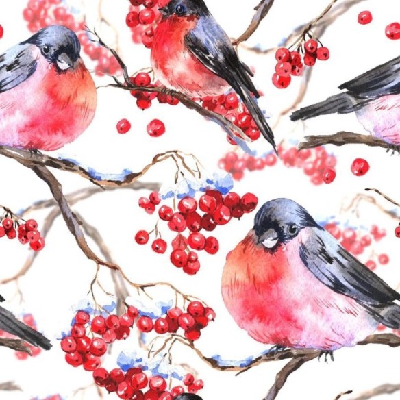 Papel de Parede Adesivo Pássaros em Aquarela N06005