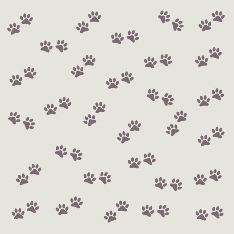 Papel de Parede Adesivo Patinhas Marrom N06194