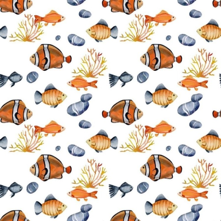 Papel de Parede Adesivo Peixe-palhaço e Pedras...