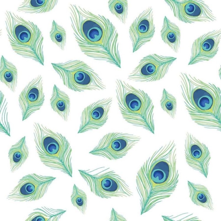 Papel de Parede Adesivo Penas de Pavão N06063