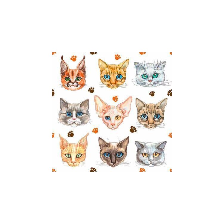 Papel de Parede Adesivo Pet Gato N24728
