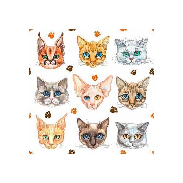 Papel de Parede Adesivo Pet Gato N24728