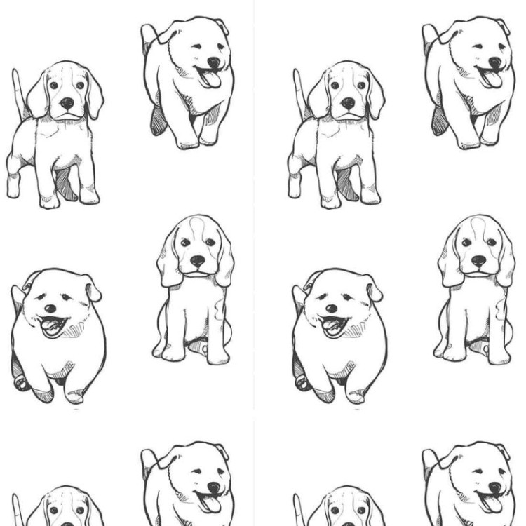 Papel de Parede Adesivo Pet Infantil N02033