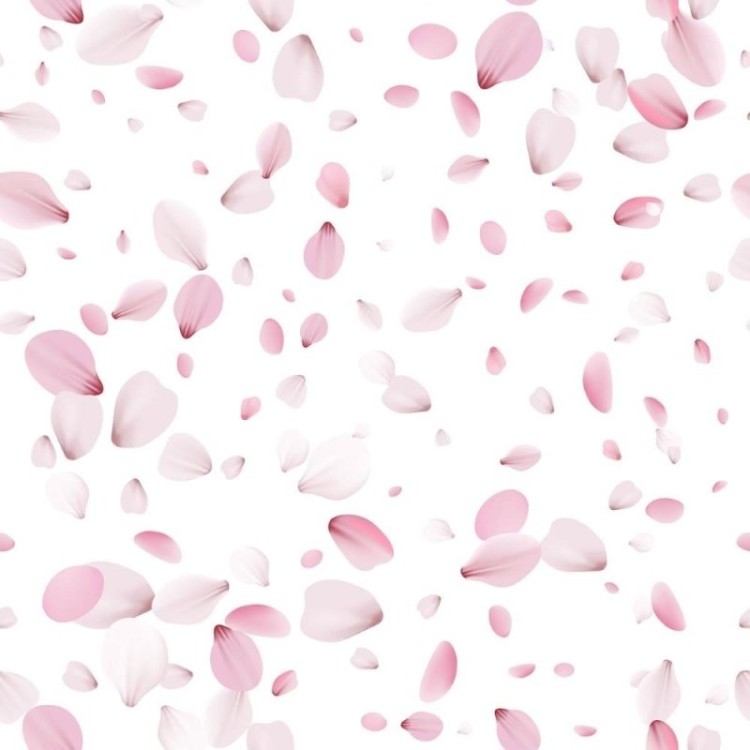 Papel de Parede Adesivo Pétalas  N011134