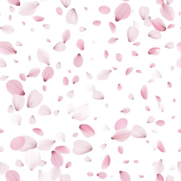 Papel de Parede Adesivo Pétalas  N011134